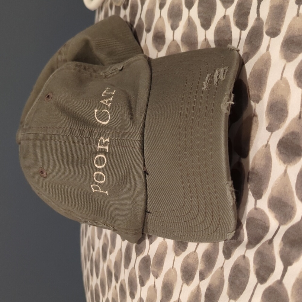 Poor Cat Dad Cap
